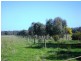 Strathmerton VIC 3641