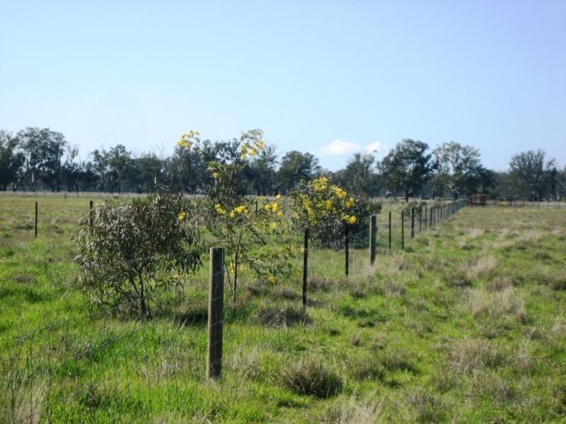 Strathmerton VIC 3641