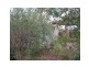 12 Charles Street, Cobram VIC 3644