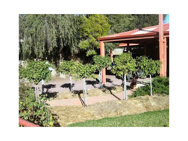 8 Budd Street, Berrigan NSW 2712