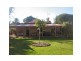 8 Budd Street, Berrigan NSW 2712