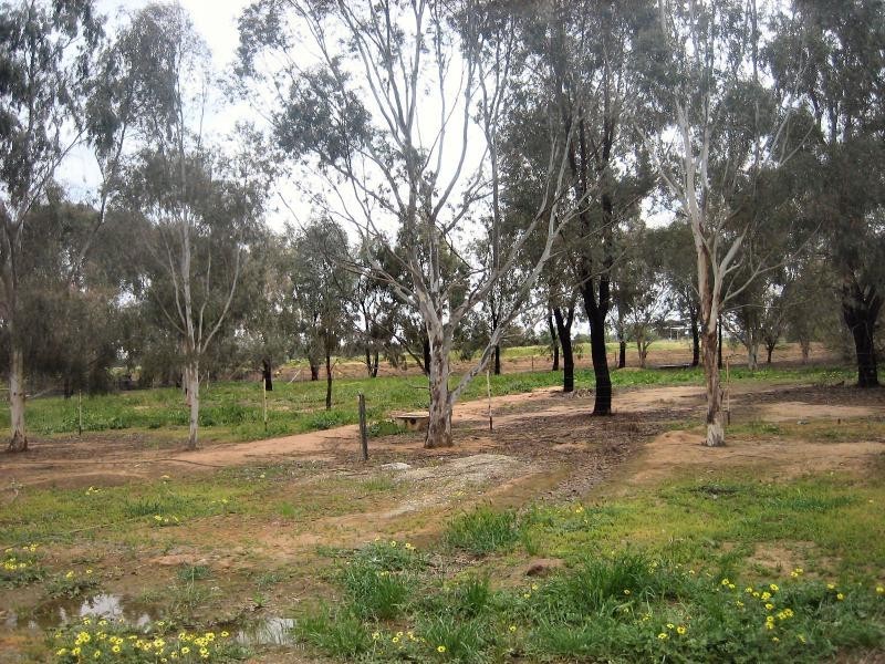 3 Greggerys Road, Berrigan NSW 2712