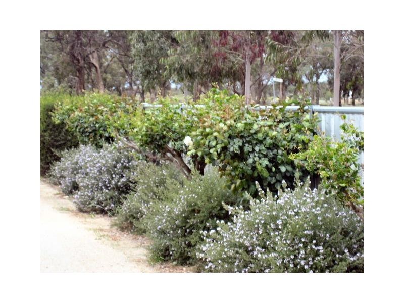 10 Osborne Street, Berrigan NSW 2712