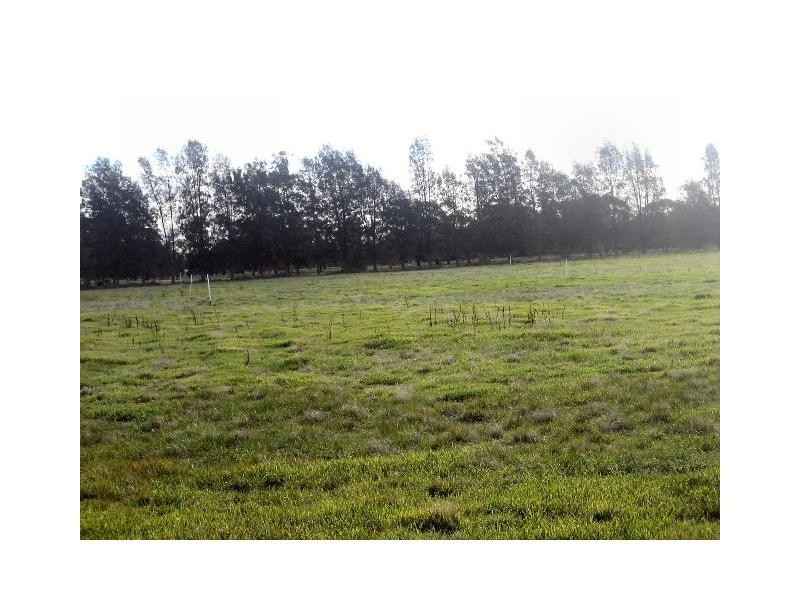 Lot 441 Cobram Street, Berrigan NSW 2712