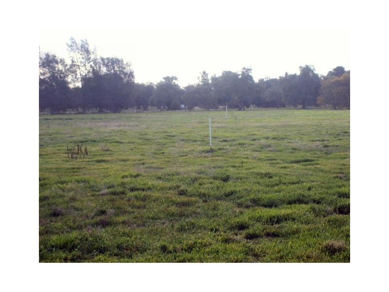 Lot 441 Cobram Street, Berrigan NSW 2712
