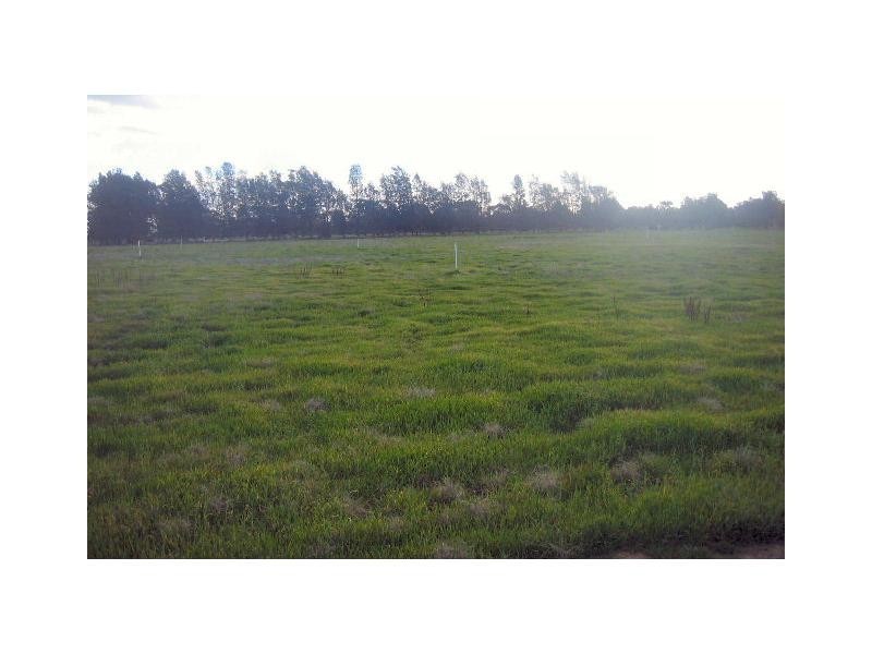 Lot 441 Cobram Street, Berrigan NSW 2712