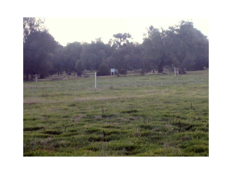 Lot 441 Cobram Street, Berrigan NSW 2712