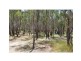 19 Barooga Road, Tocumwal NSW 2714