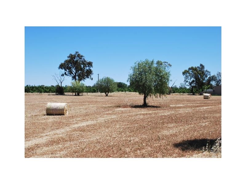 1502 Tobruk Road, Cobram VIC 3644