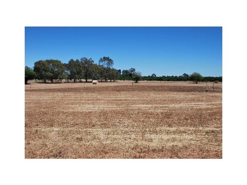 1502 Tobruk Road, Cobram VIC 3644