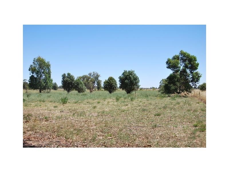 Lot 142 Honniball Drive, Tocumwal NSW 2714