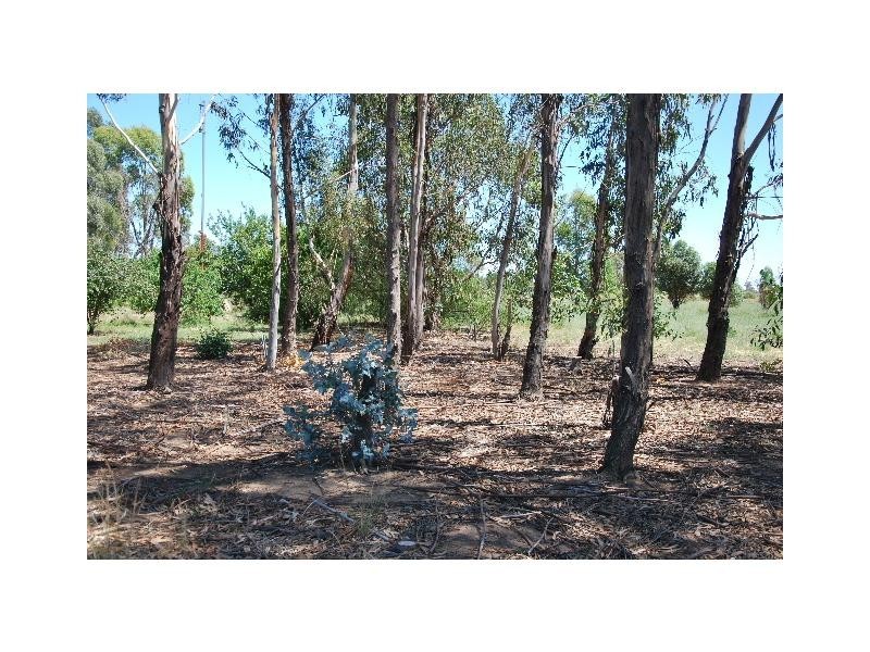 Lot 142 Honniball Drive, Tocumwal NSW 2714