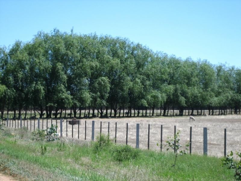 Yarroweyah VIC 3644