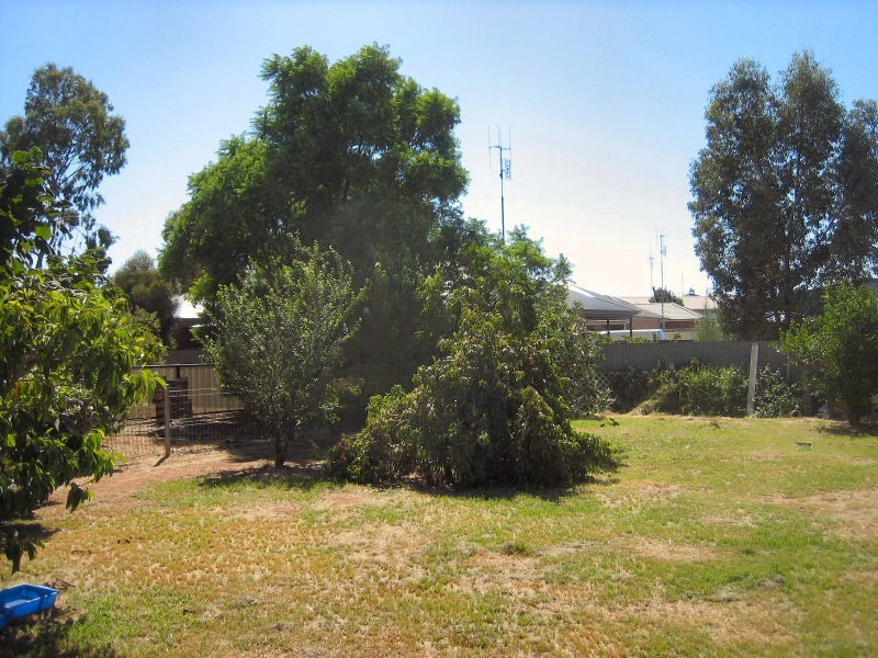 22 – 24 Alexander Avenue, Berrigan NSW 2712