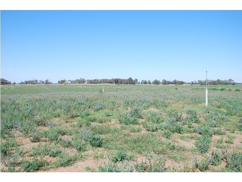 Lot 1 Chapel Road, Cobram VIC 3644