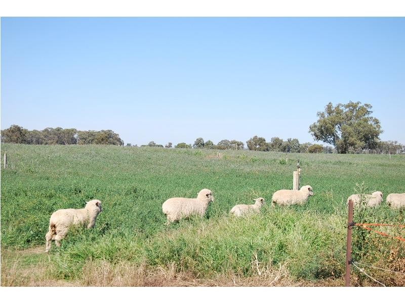 Lot 1 Chapel Road, Cobram VIC 3644