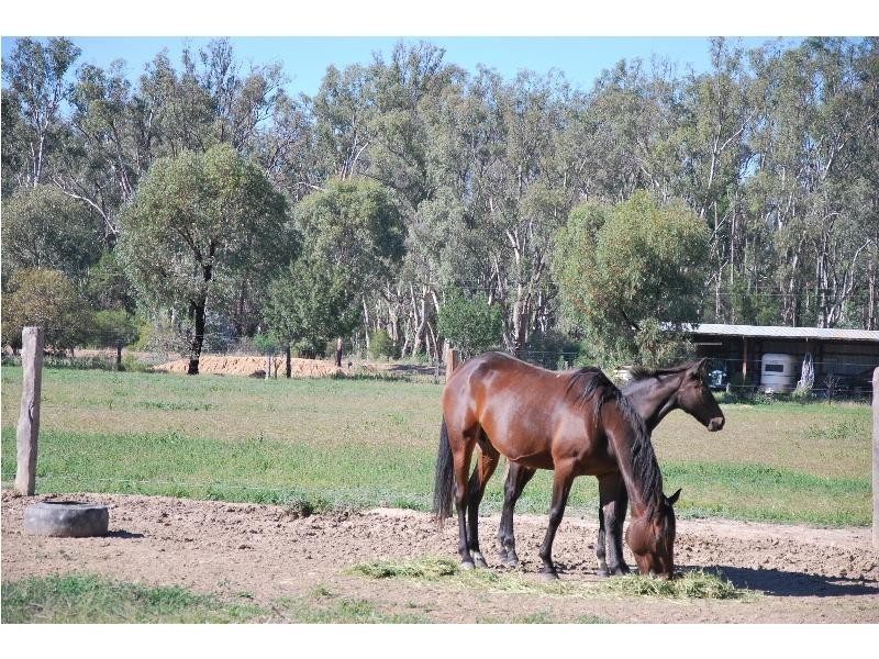 322 Torgannah Road, Koonoomoo VIC 3644