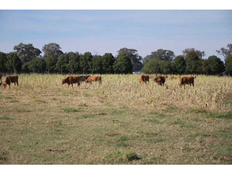 1724 Larissa Road, Yarroweyah VIC 3644