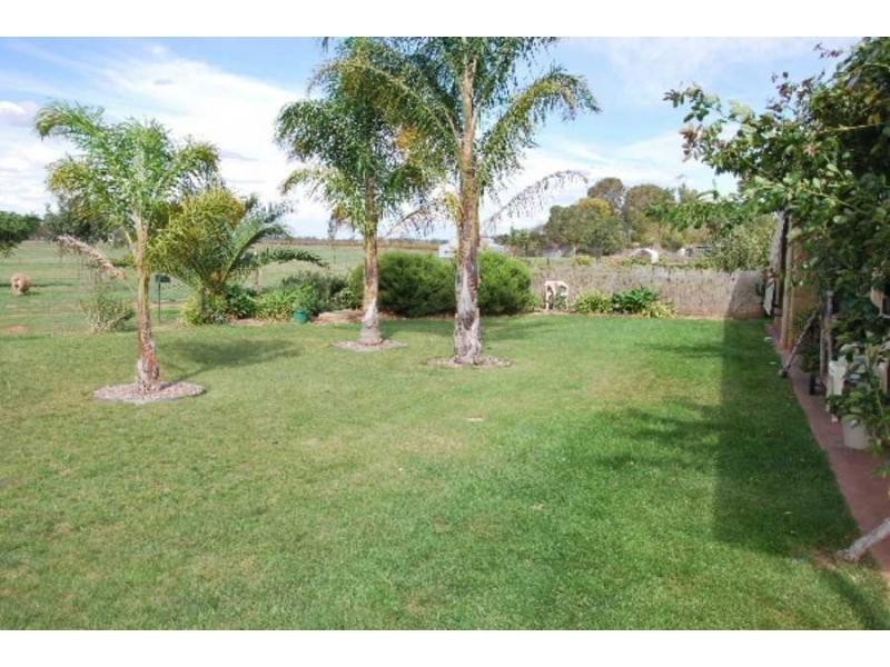 3075 Tocumwal-Mulwala Road, Barooga NSW 3644