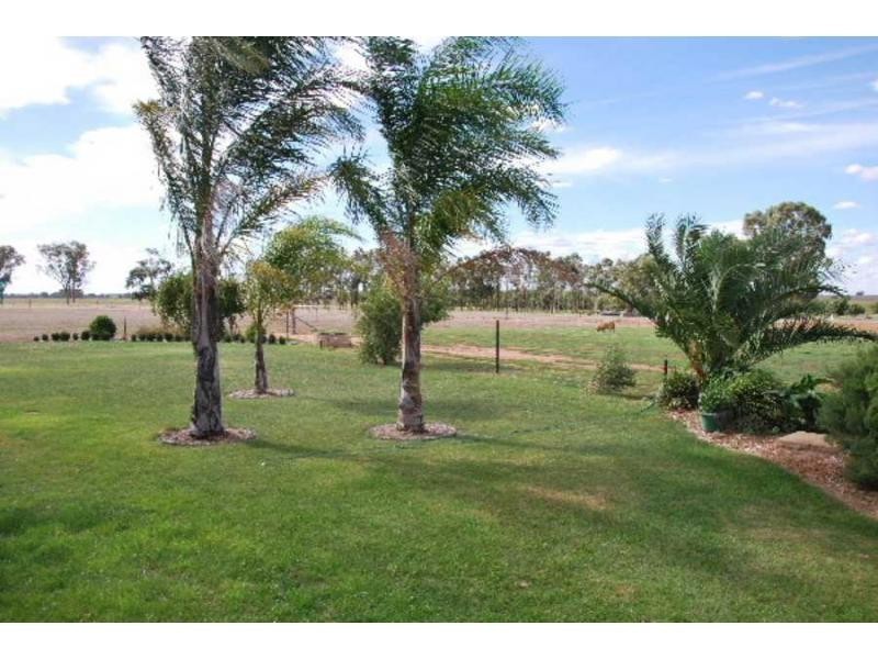 3075 Tocumwal-Mulwala Road, Barooga NSW 3644