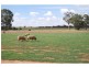 3075 Tocumwal-Mulwala Road, Barooga NSW 3644