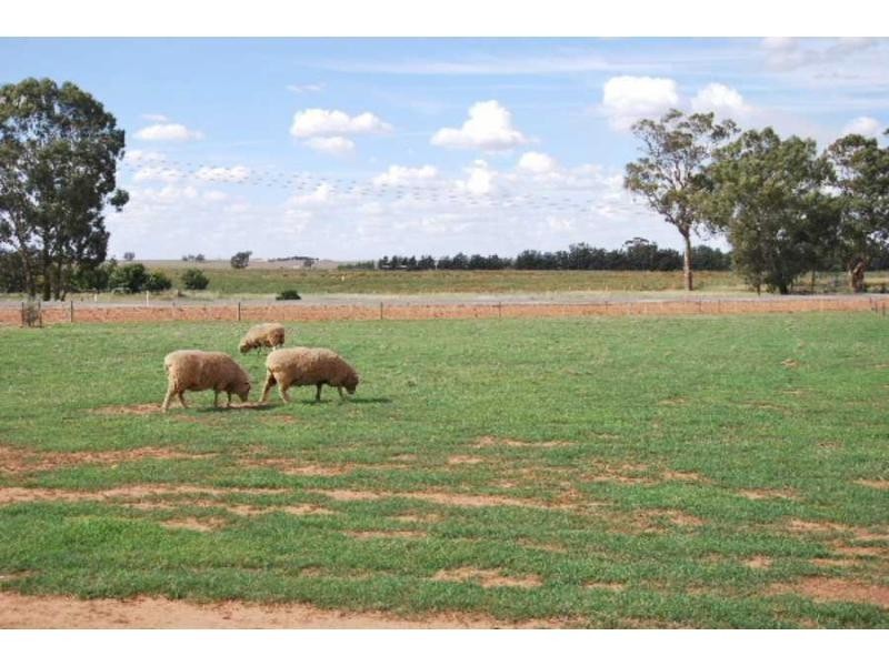 3075 Tocumwal-Mulwala Road, Barooga NSW 3644