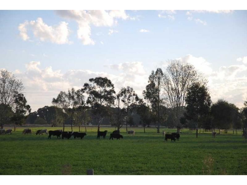 6471 Tocumwal-Benalla Road, Yarroweyah VIC 3644