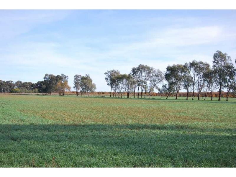 6471 Tocumwal-Benalla Road, Yarroweyah VIC 3644