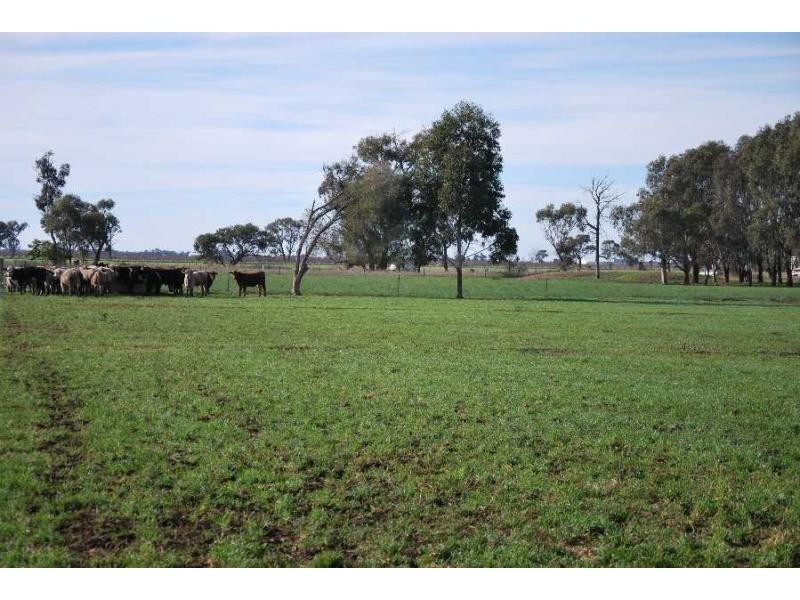 6471 Tocumwal-Benalla Road, Yarroweyah VIC 3644