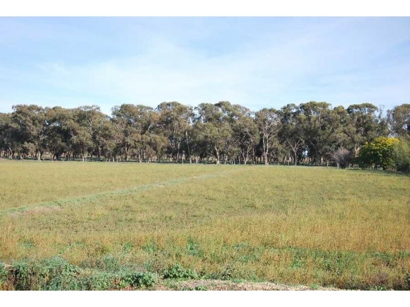 6471 Tocumwal-Benalla Road, Yarroweyah VIC 3644