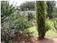 21 Corcoran Street, Berrigan NSW 2712