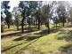 Berrigan NSW 2712