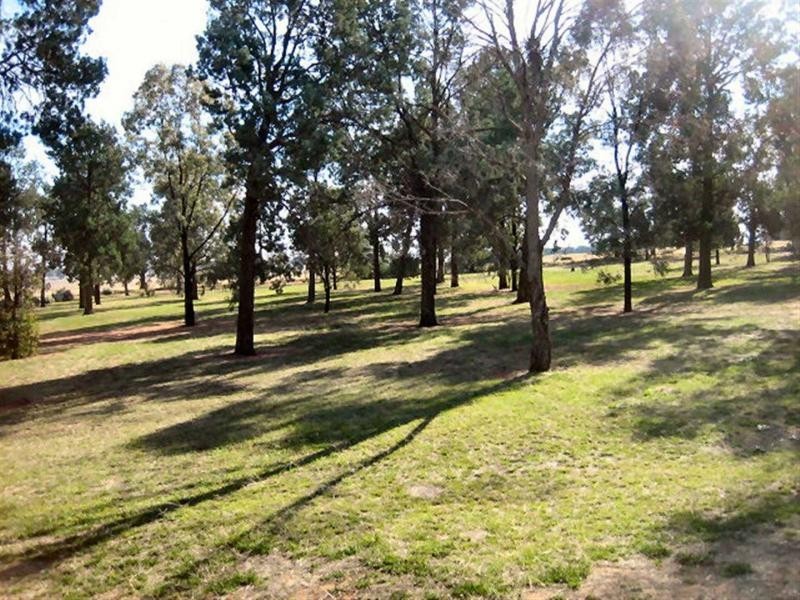 Berrigan NSW 2712