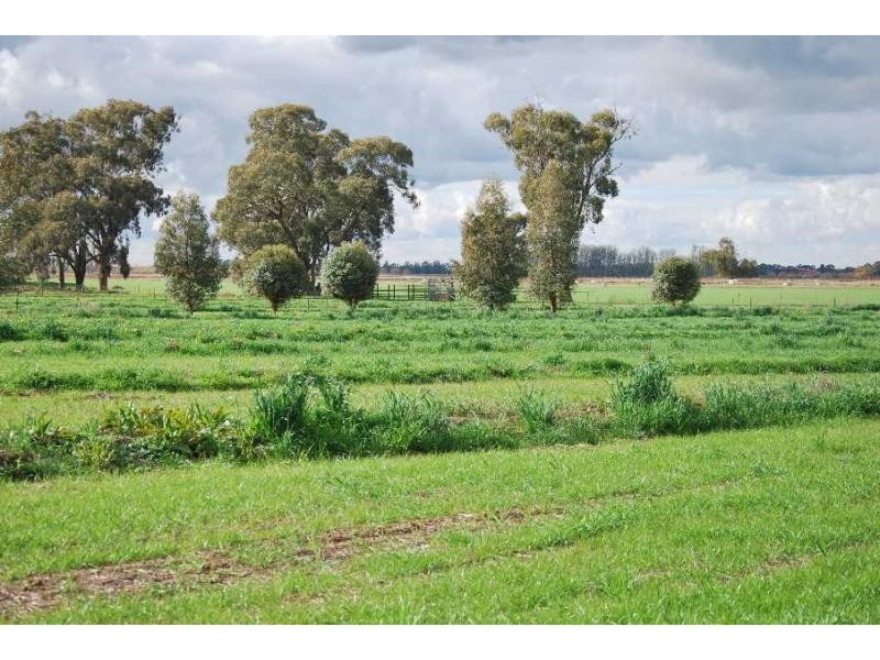 996 Sandmount Road, Katunga VIC 3640
