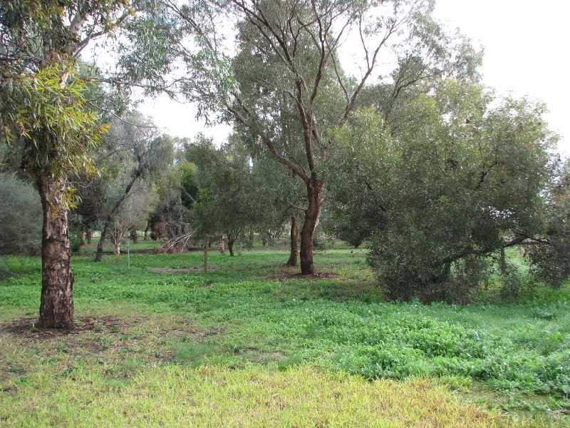 1083 Sandmount Road, Katunga VIC 3640