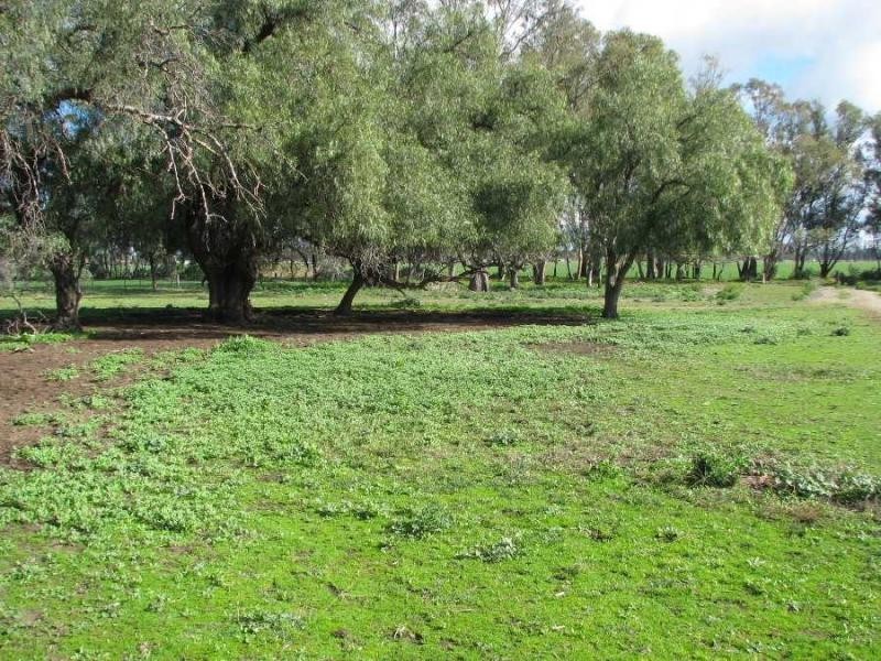 53 Mywee-Bearii Road, Strathmerton VIC 3641