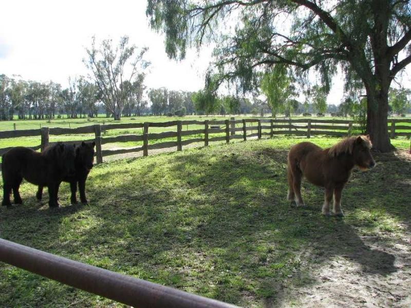 53 Mywee-Bearii Road, Strathmerton VIC 3641