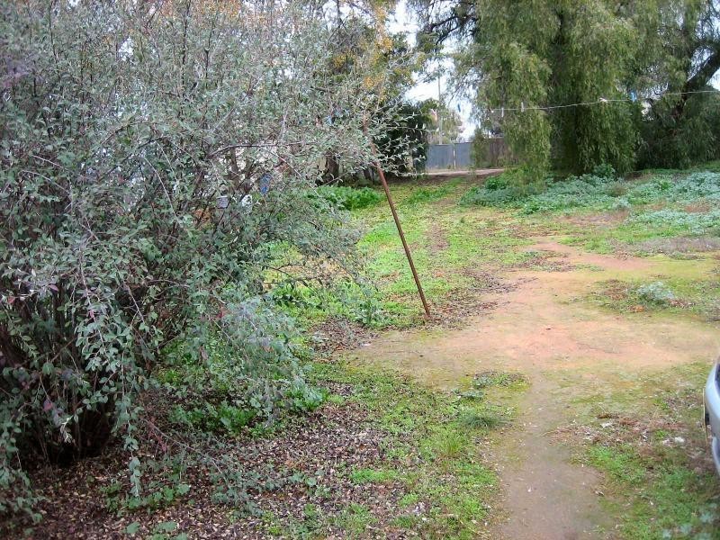 21 Young Street, Oaklands NSW 2646