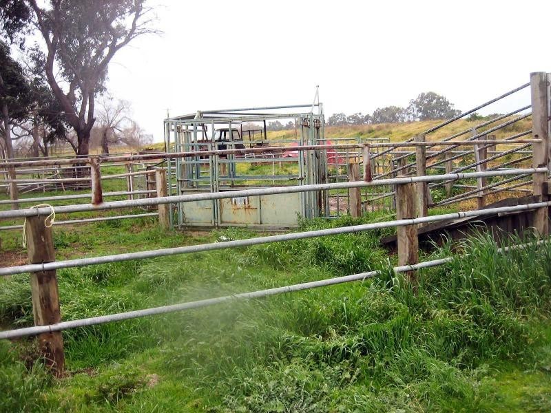 83 Woolshed Road, Finley NSW 2713