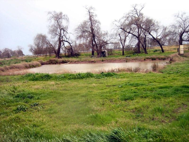 83 Woolshed Road, Finley NSW 2713