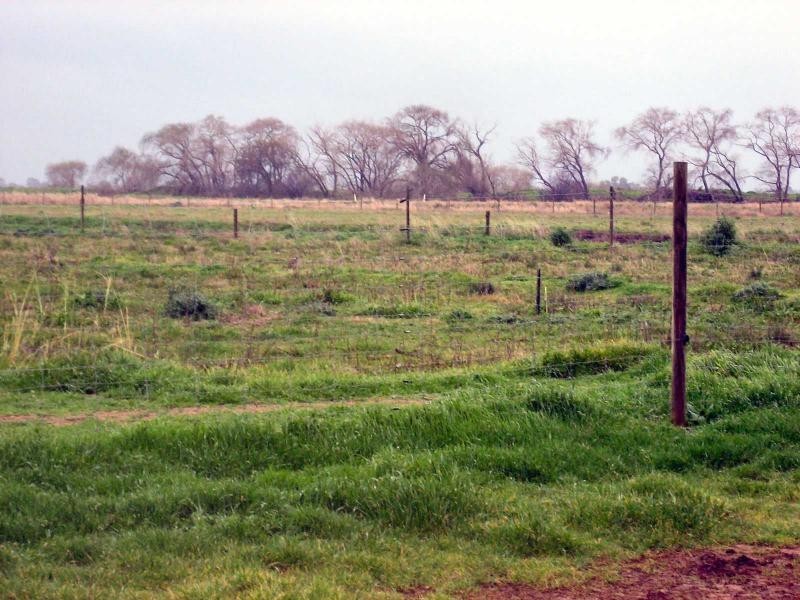 83 Woolshed Road, Finley NSW 2713