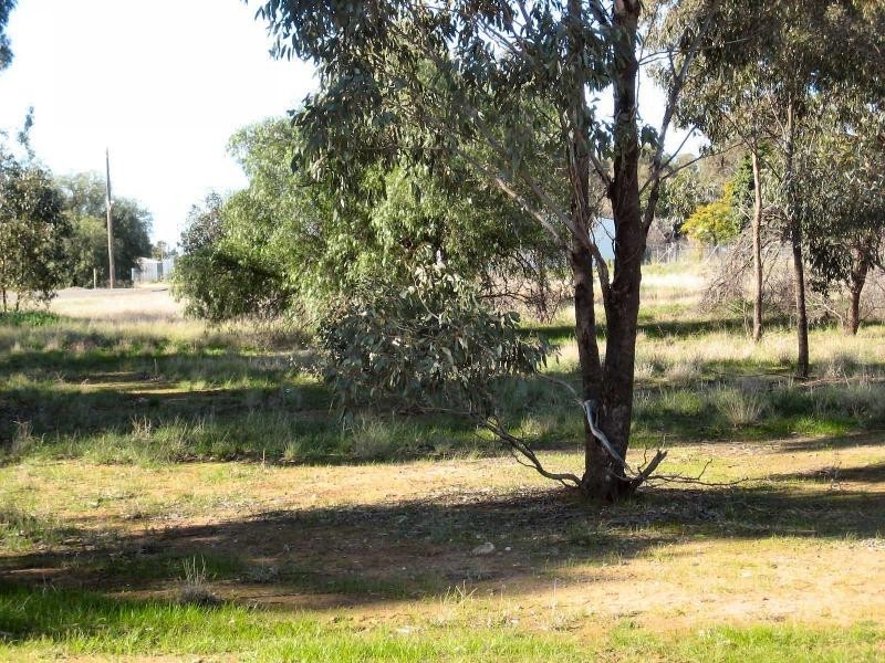 20 – 22 Flynn Street, Berrigan NSW 2712