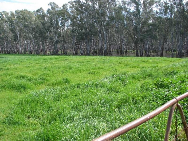 1828 Murray Valley Highway, Cobram East VIC 3644