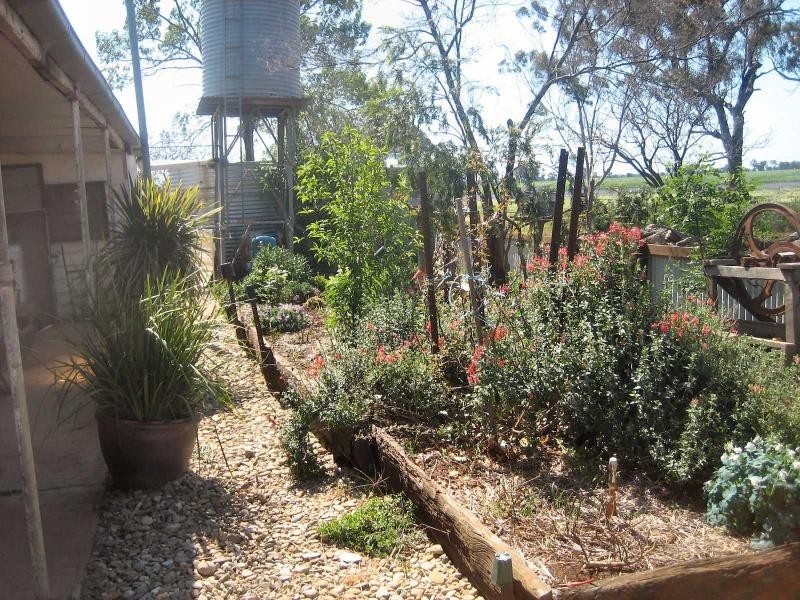 677 Oaklands Road, Berrigan NSW 2712