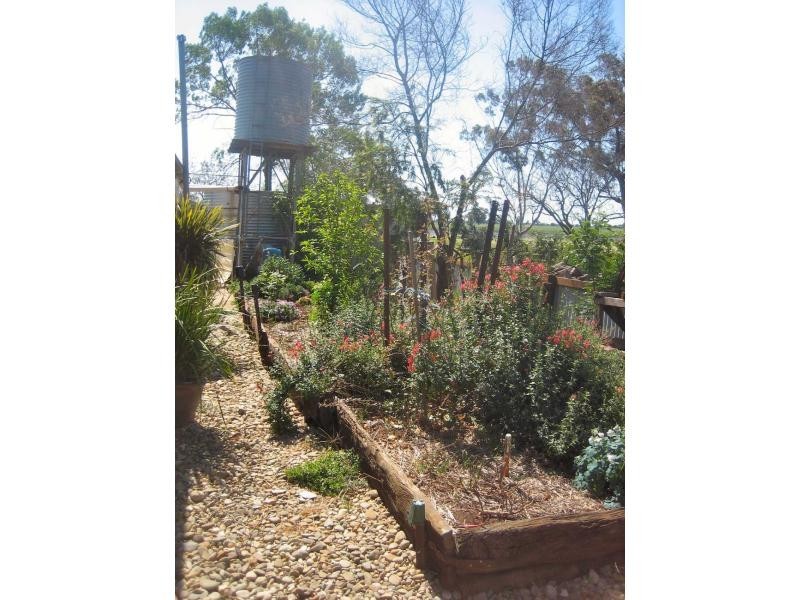 677 Oaklands Road, Berrigan NSW 2712