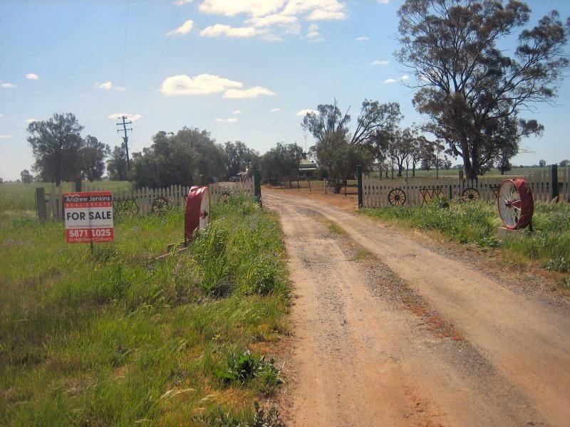 677 Oaklands Road, Berrigan NSW 2712