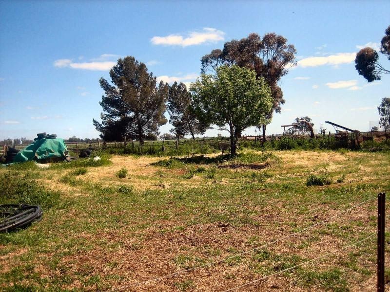 677 Oaklands Road, Berrigan NSW 2712