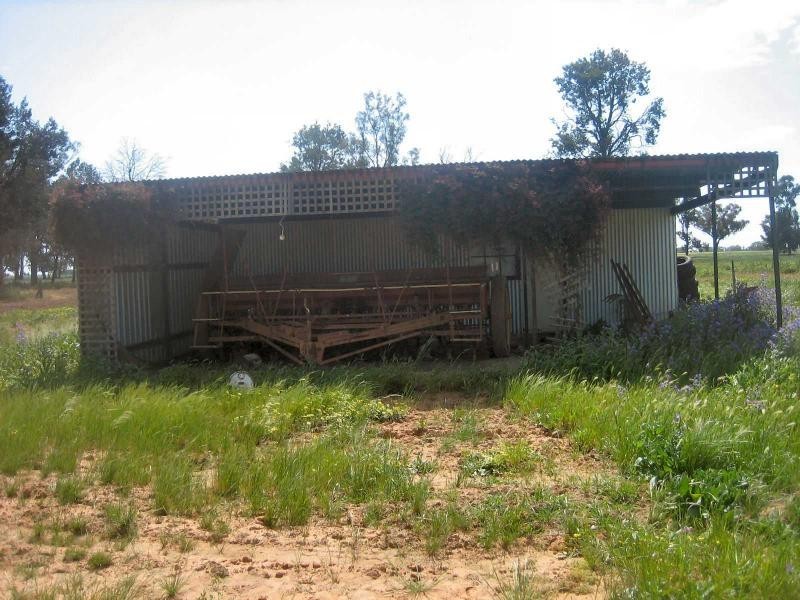 677 Oaklands Road, Berrigan NSW 2712