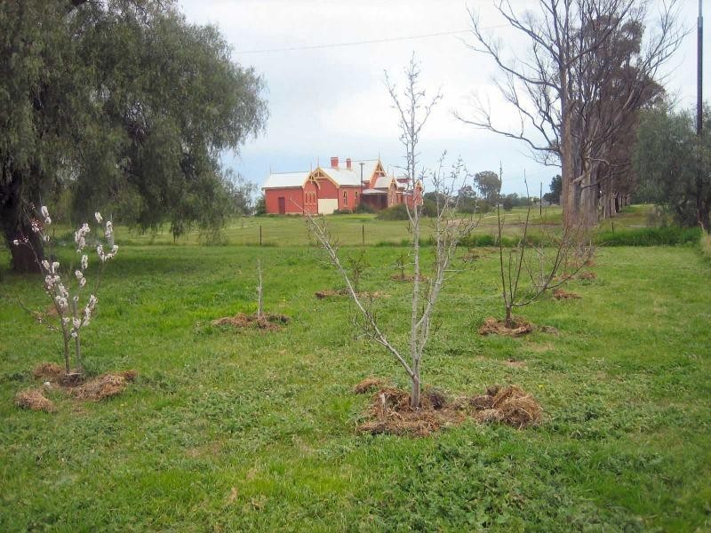 36 Nowranie Street, Jerilderie NSW 2716