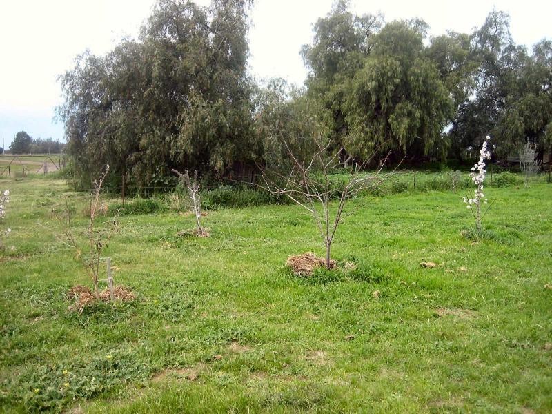 36 Nowranie Street, Jerilderie NSW 2716